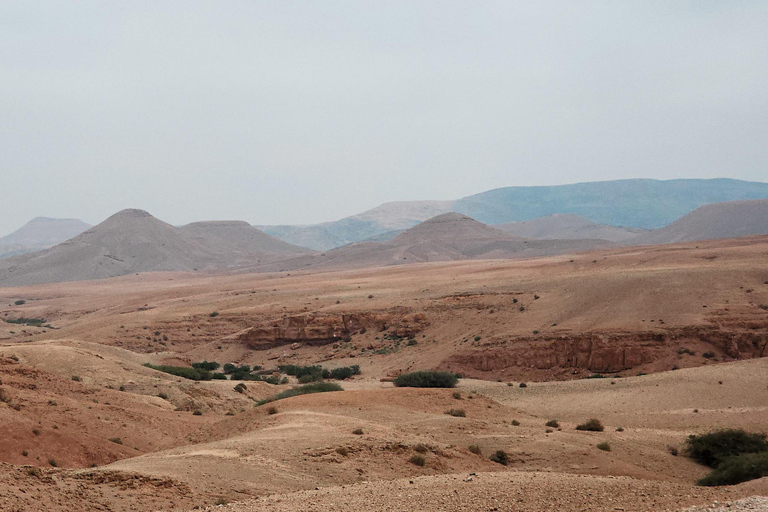 Agafay Magic: Dinner, Camel Rides & Quad Biking