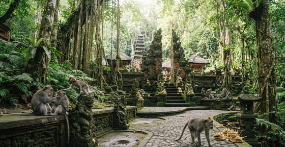 Bali: Monkey Forest, Waterfall, Temple, and Art Village Tour