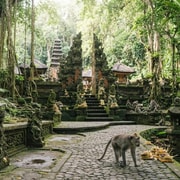 Bali: Monkey Forest, Waterfall, Temple, and Art Village Tour