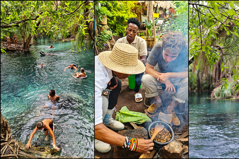 Moshi: Materuni Waterfall, Coffee Tour, Kikuletwa Hot Spring