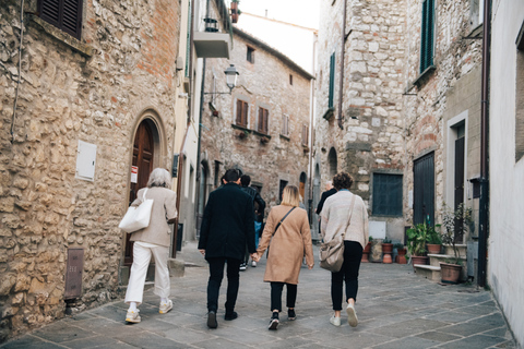 Von Florenz aus: Chianti-Hügel Halbtagestour mit WeinverkostungWeinkeller-Tour auf Englisch