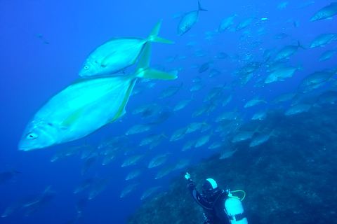 São Jorge: Buceo - 2 Inmersiones (Medio Día)