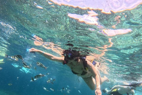 Bali: Blue Lagoon Snorkeling and Bali Swing with Lunch