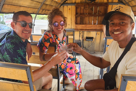 Mezcal and Traditions Route: Tree of Tule, Teotitlan Village, and Distillery Mezcal and Its Traditions Tour: Tree of Tule, Teotitlán, and Distillery