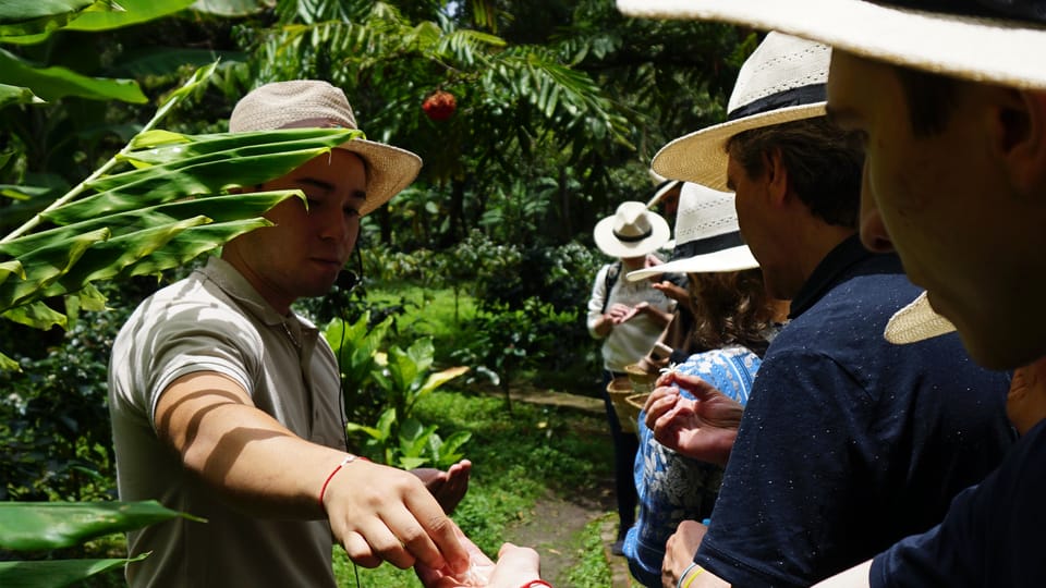 Descubre los secretos del Cafe, Cacao y Cascada en Minca - Housity