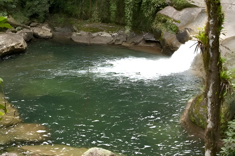 Rio de Janeiro ou São Paulo : circuit de 3 jours dans le parc national d'Itatiaia