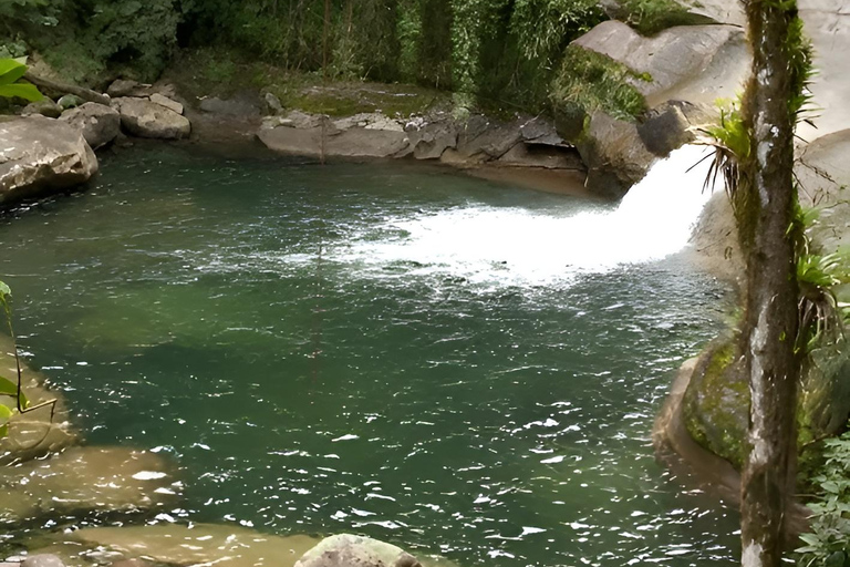 Rio de Janeiro ou São Paulo : circuit de 3 jours dans le parc national d'Itatiaia