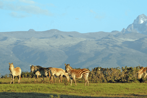 Monte Kenia: Tour de día completo de senderismo desde Nairobi