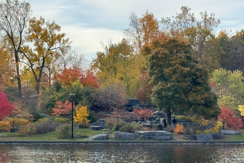 Montreal Private City Car Tour with Local Guide