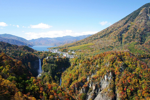 Tokio: Excursión privada de un día a Nikko con visita al Santuario de Toshogu