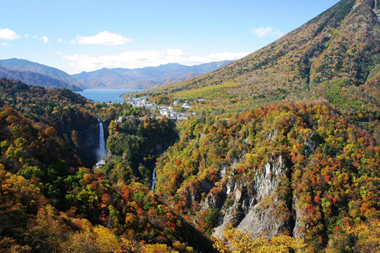 Tokio: Prywatna 1-dniowa wycieczka Nikko z wizytą w świątyni Toshogu