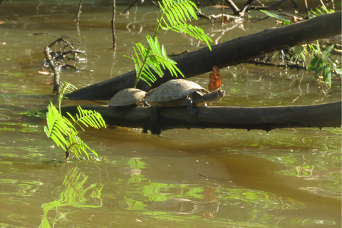 Tambopata: Wildlife Tour with Anacondas and Macaws