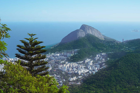 Rio de Janeiro: Zwiedzanie z przewodnikiem do Parku Narodowego Tijuca