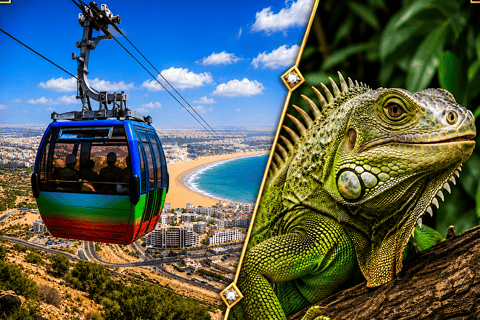 Marrakech: Agadir Day Trip with Cable Car, Crocoparc & Beach