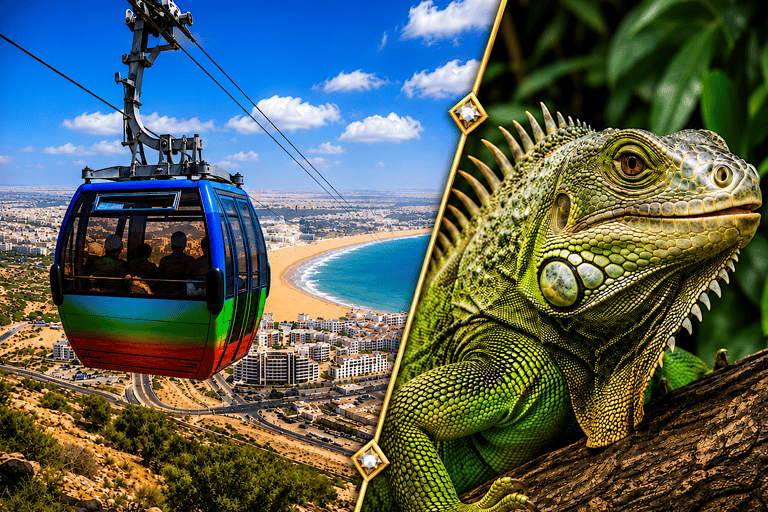 Marrakech: Agadir Day Trip with Cable Car, Crocoparc & Beach
