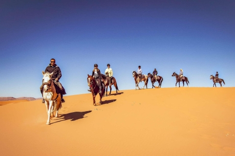 Experimenta la equitación en el desierto de Qatar