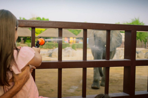 Dubai: Dubai Safari Park Entry Pass Safari Park Pass with Train and Explorer Safari Tour