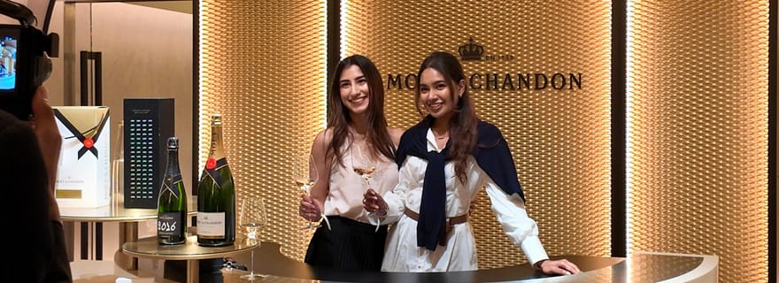 Reims : visite d'une journée et déjeuner chez Moët & Chandon et dans un domaine familial