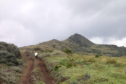 内罗毕：3日阿伯达雷国家公园经济型Safari内罗毕：3天阿伯达雷国家公园经济型Safari之旅