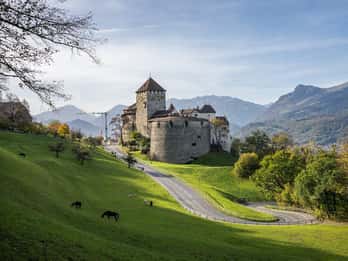 Zürich: Liechtenstein, Österrike och Tyskland – dagsutflykt med buss