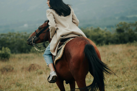 Maun, Botswana: Half Day Guided Horse Back Safari Ride
