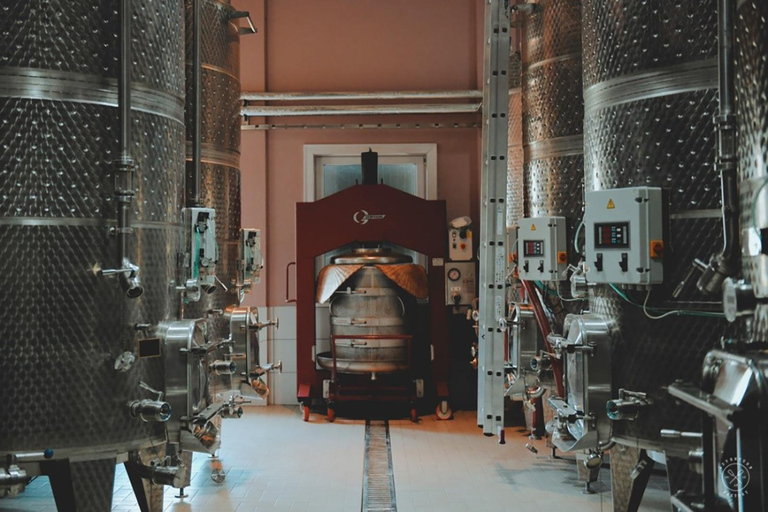 Podgorica Wine Road Private Tour