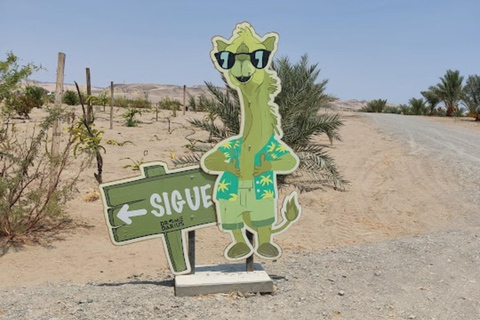 Lima: Ica Camel ride + Huacachina + "Adventure in the Desert" pool Lima: Ica Camel Ride + Huacachina + Swimming Pool "Adventure in the Desert"