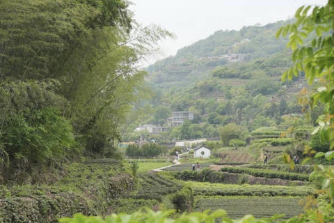 Shanghai: Han Fei River Ancient Path Hike Day Trip Shanghai: Han Fei River Ancient Path Hike Day Trip