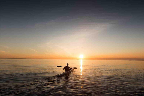 Panama City: Portobelo Jungle, Reef & Venas Azules Tour