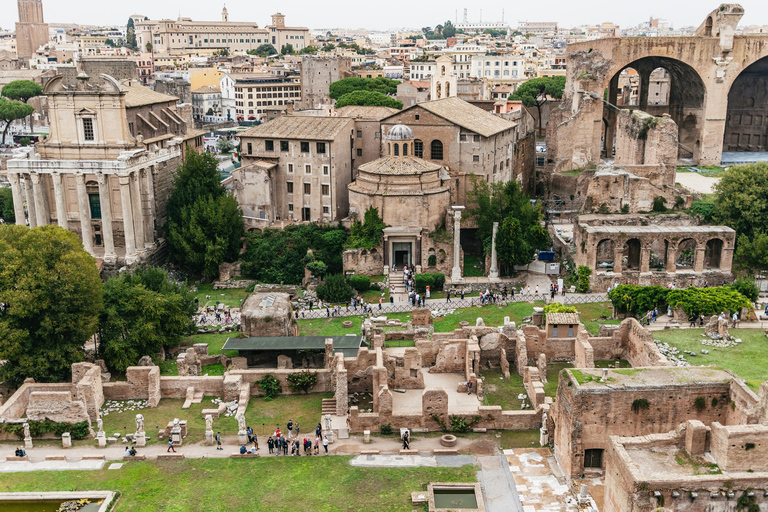 Rome: Full-Day Colosseum, Vatican Museums & St Peter's Tour Morning Vatican Museums and Afternoon Colosseum