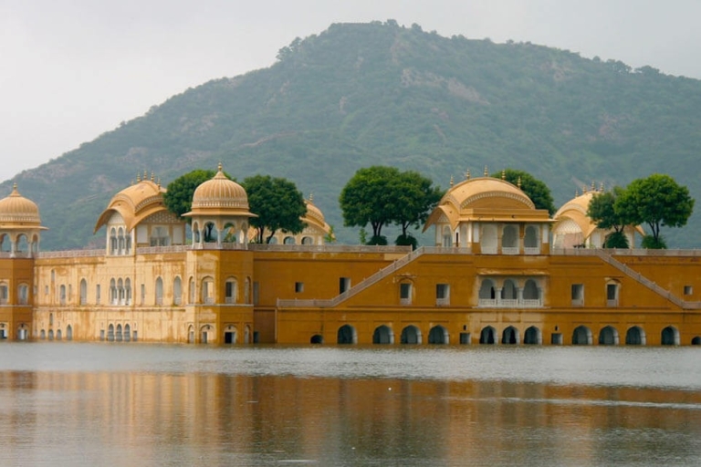 Van Delhi: Jaipur Sightseeing Tour met hotelovernameAuto met chauffeur, gids, toegangskaarten voor monumenten en lunch