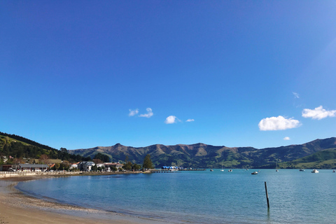 From Christchurch: Luxury Private Akaroa Day Trip Experience