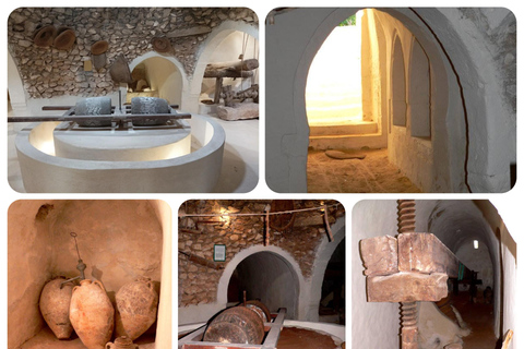Djerba: Olive Oil Secrets with a Visit to an Underground Oil Mill