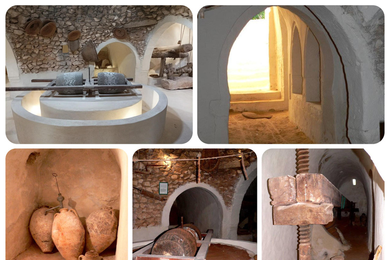 Djerba: Olive Oil Secrets with a Visit to an Underground Oil Mill
