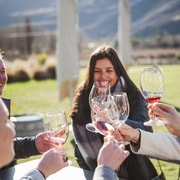 Queenstown: Afternoon Wine and Craft Beer Tour