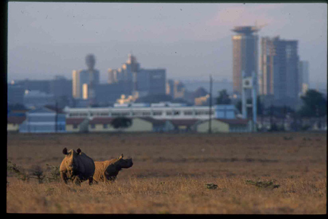 Nairobi: Stadsrondleiding met gids