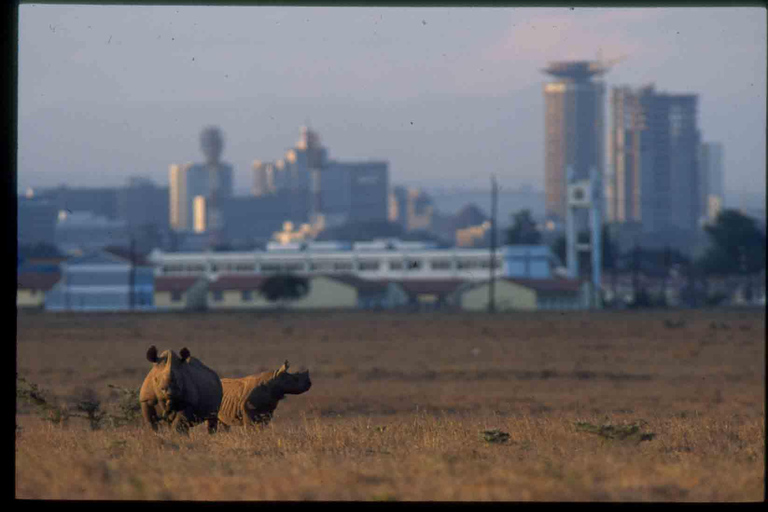 Nairobi: Stadsrondleiding met gids