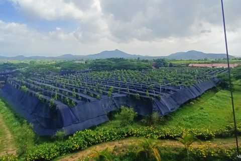 Kampot: Full-day Countryside Tour with Pepper Farm and Kep