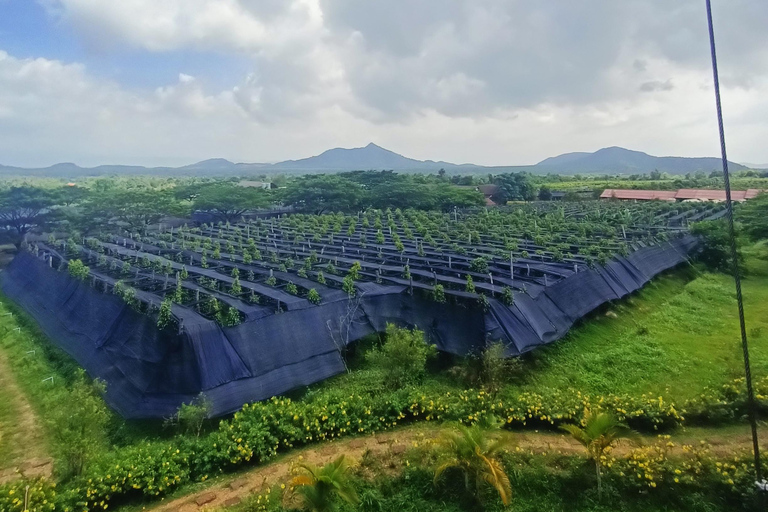 Kampot: Full-day Countryside Tour with Pepper Farm and Kep