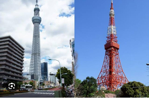Tokyo One Day Customizable Trip With English speaking Driver