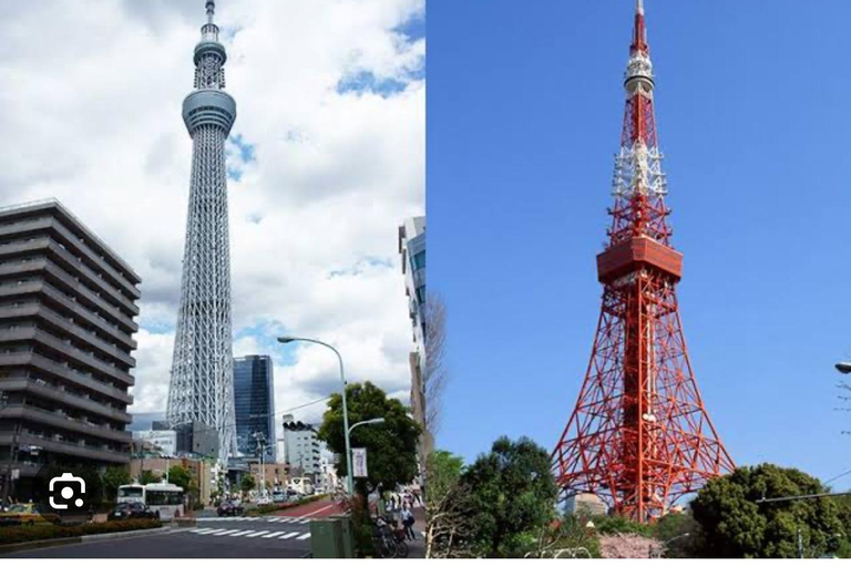 Tokyo One Day Customizable Trip With English speaking Driver
