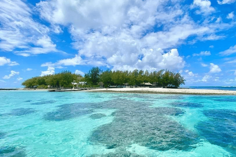 Blue Bay do Île aux Aigrettes: Ekskluzywna wycieczka z nurkowaniem