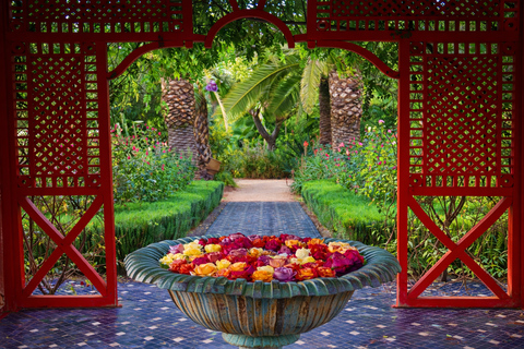 Marrakech: Ourika Waterfall, Lunch & Anima Garden Day Trip Option 1: Shared Tour with Full Package & Lunch Not Included