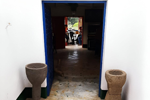 MEDELLIN: DAWN GARDEN TOUR WITH VISIT TO BETANIA - 2 DAYS AND 1 NIGHT