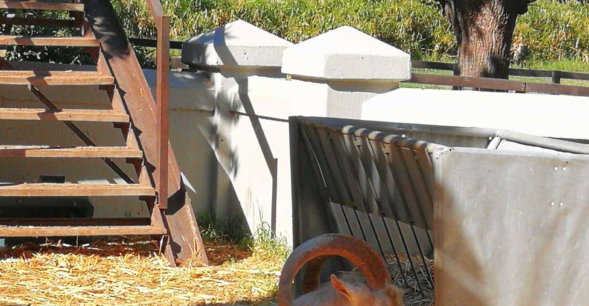 Cape Winelands Family Tour & Wildlife Encounter - Hizvo