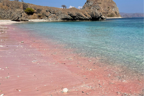 Desde Labuan Bajo: Excursión por los Dragones y excursión por las islas con todo incluidoDesde Labuan Bajo: Excursión de un día a los Dragones de Komodo y excursión por las is