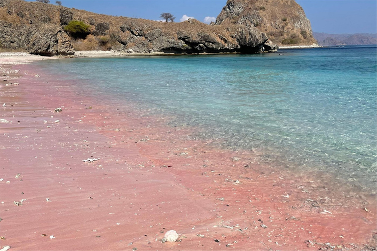 From Labuan Bajo: Dragons Tour & Island Hopping w/ Entry Fee From Labuan Bajo: Komodo Dragons & Island Hopping Day Tour