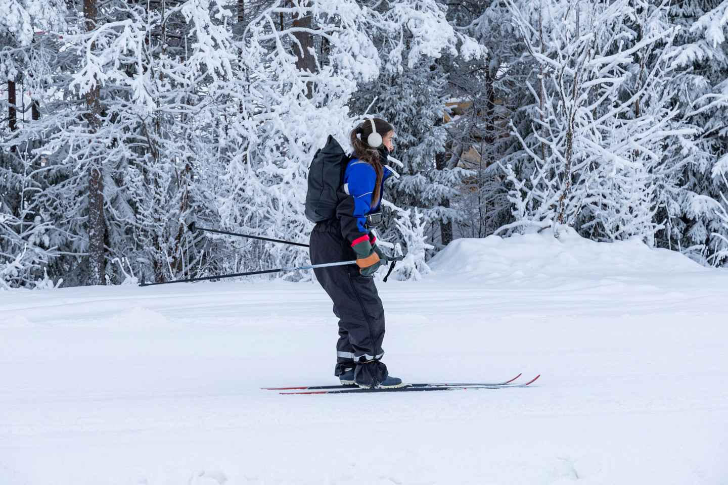 Rovaniemi: Cross country skiing trip - Rovaniemi: Cross country skiing trip