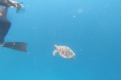 Day Tour Snorkeling Trip Gili Layar/Gili Gede&Gili Rengit