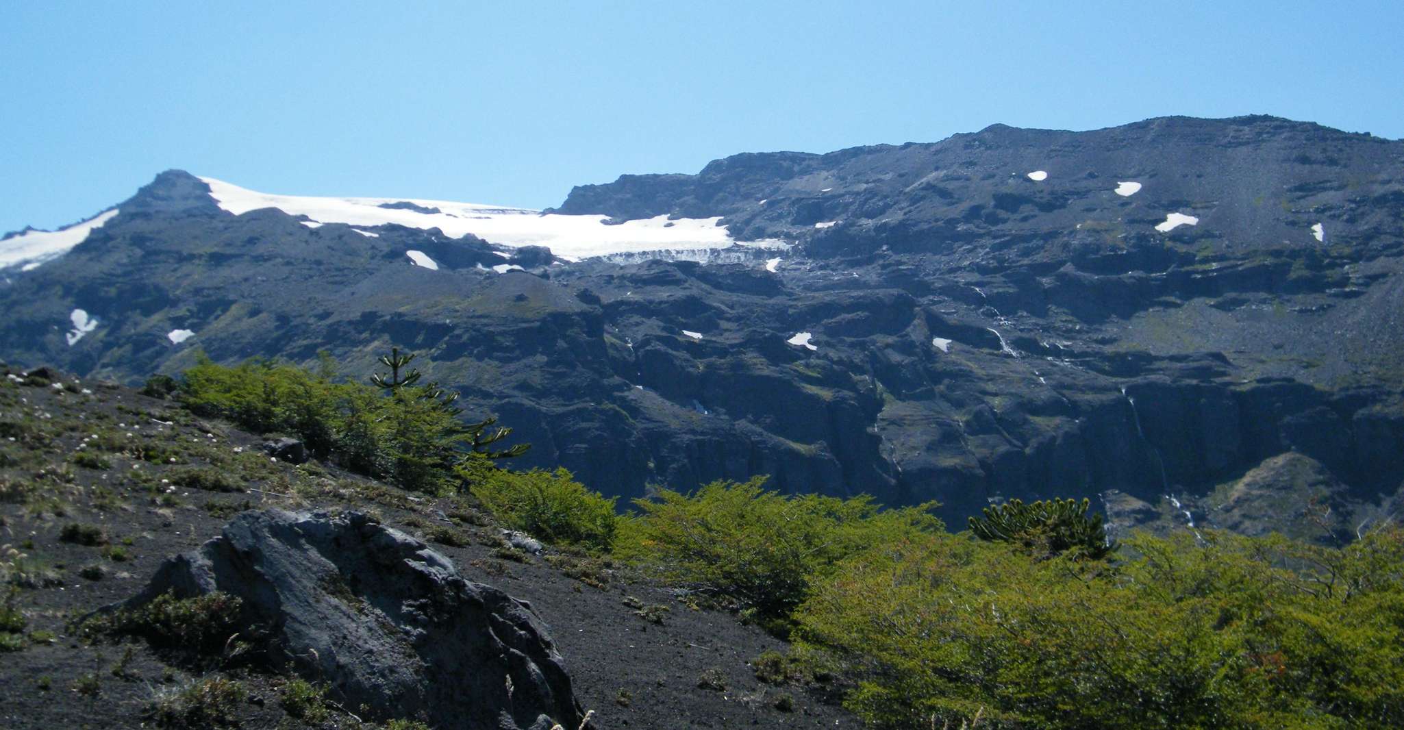 Conguillío National Park Tour - Full day - Housity